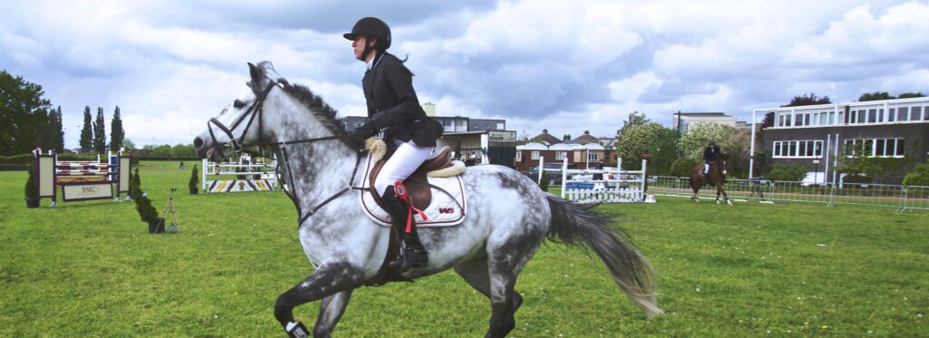 From Training to Bloodlines - 6 Things That Make a Horse More Expensive