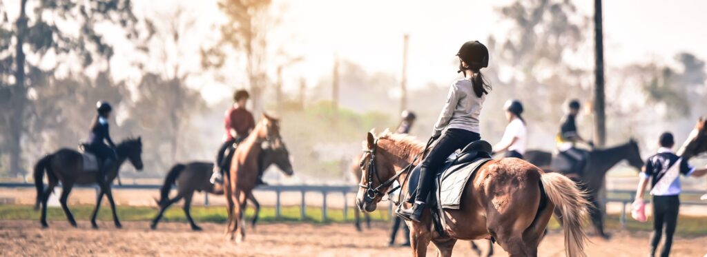 How Much Does a Trained Horse Cost in the U.S.? A Simple 2025 Guide for Buyers