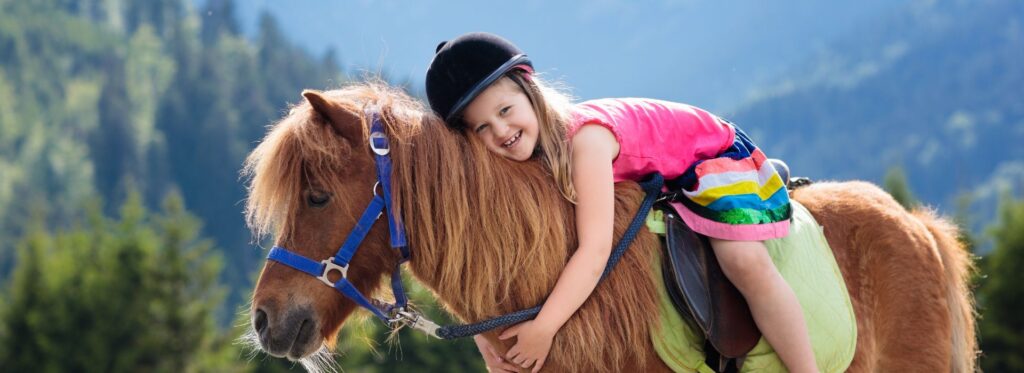 How Much Should You Pay for a Beginner-Safe Horse? A 2025 Buyer’s Guide