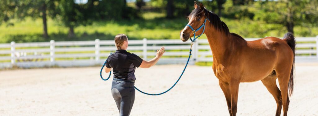 How to Price Your Horse - 7 Simple Rules for a Fair Deal