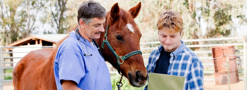 What’s a Horse with Health Issues Worth? Simple Pricing Tips for Sellers