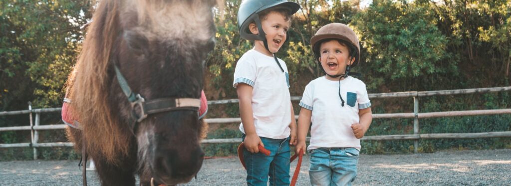 Do Horses Come with Warranties? Understanding Buyer Protections