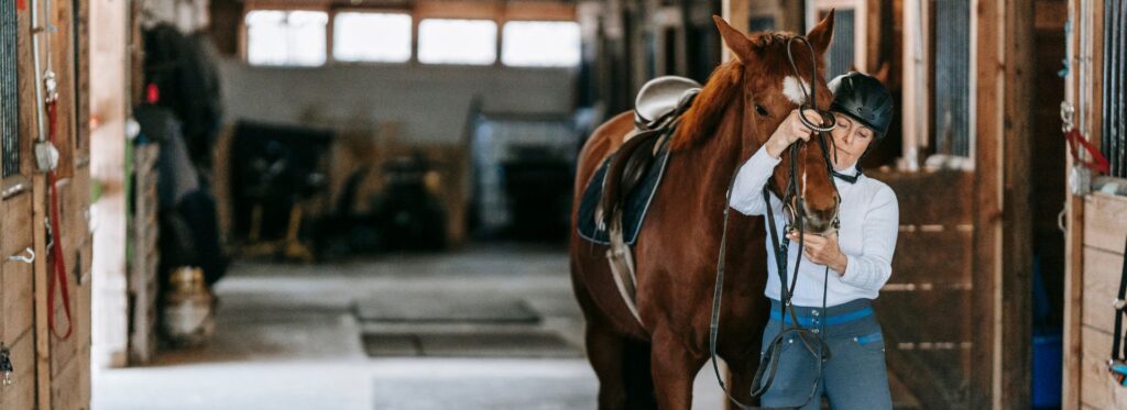 Hiring a Horse Hauler vs. Self-Hauling: Pros, Cons, and What It Really Costs