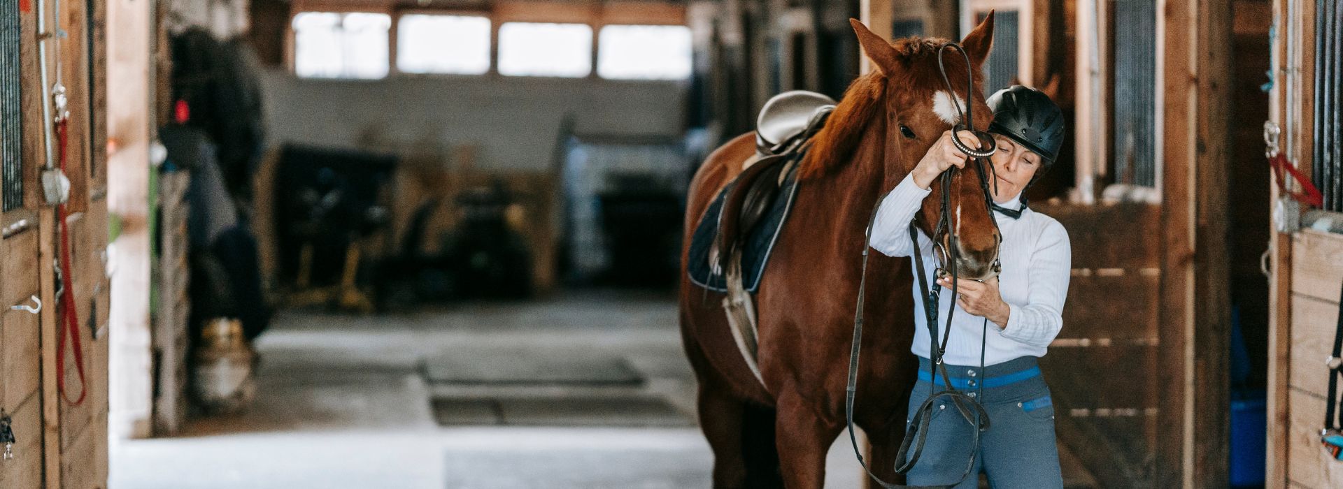 Hiring a Horse Hauler vs. Self-Hauling: Pros, Cons, and What It Really Costs